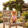 Fore the Poms Dog Shirt | Pom Mama Vibes Rescue Fundraiser Pet Apparel