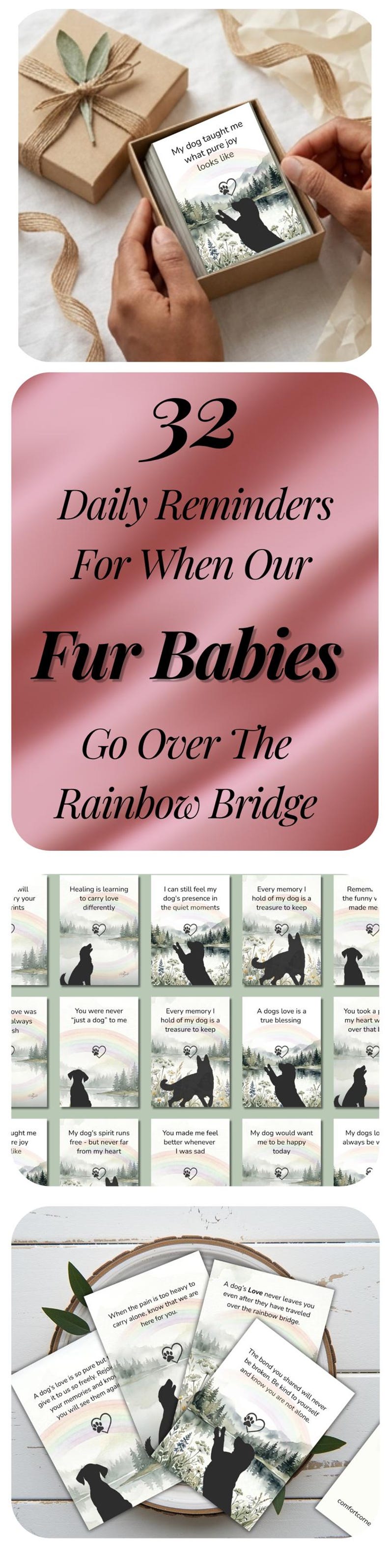 32 daily reminder cards for pet owners with watercolor dogs packaged in a decorative box
