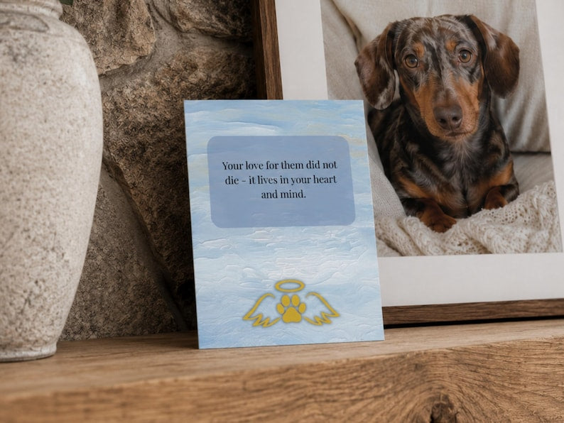 Single card displayed on a shelf beside a framed dachshund photo and urn